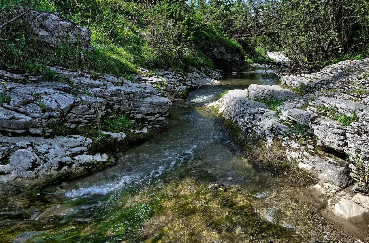 bg_sec_img_header